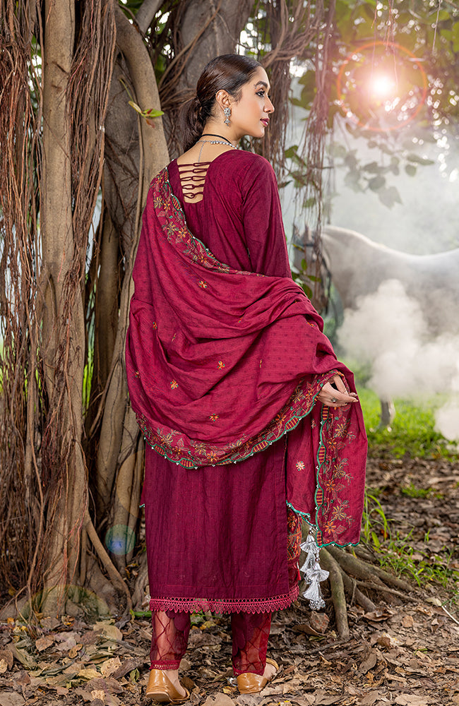 Al-Zohaib Sunshine Bloom`23 D#05