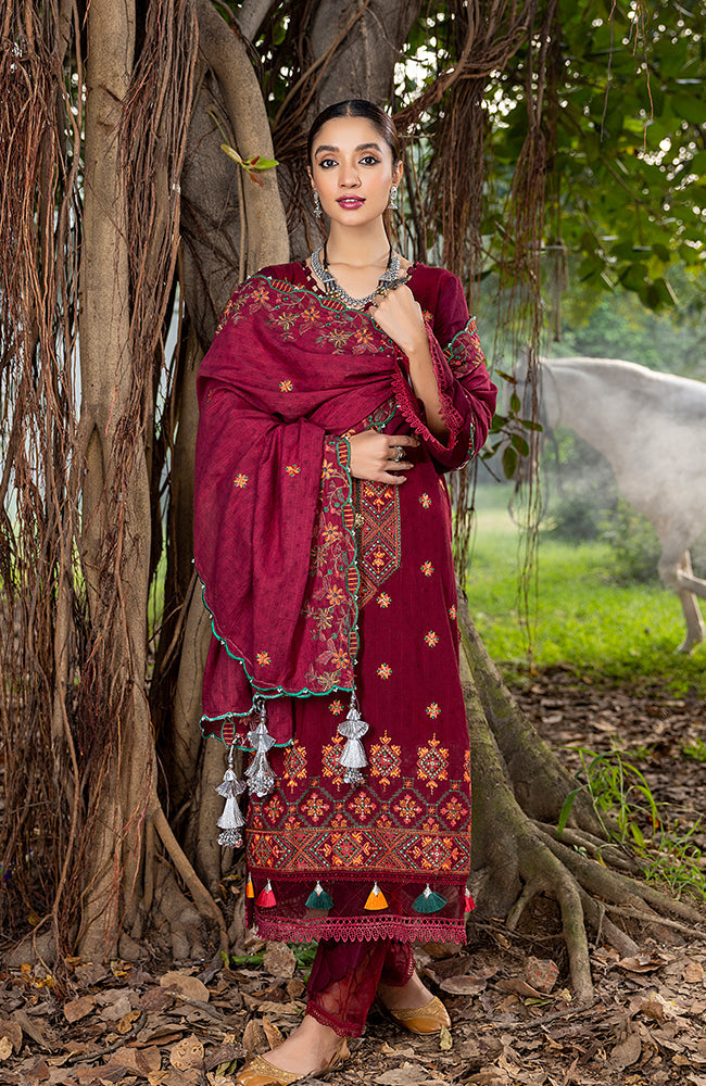 Al-Zohaib Sunshine Bloom`23 D#05