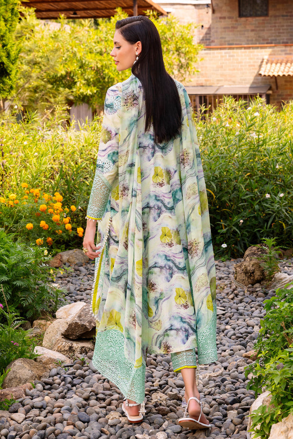 Shaista Muscari C/Kari Lawn`26 D#29