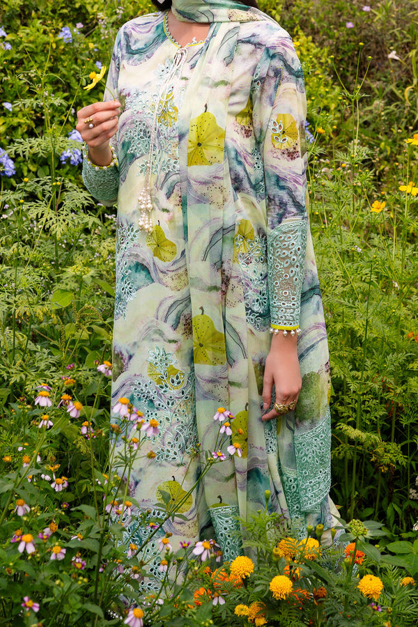 Shaista Muscari C/Kari Lawn`26 D#29