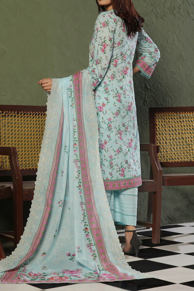 VS Zynah C/Kari Lawn`25 D#586