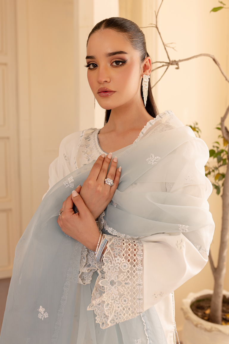 Seran Nayaab Eid Lawn'25 D#08