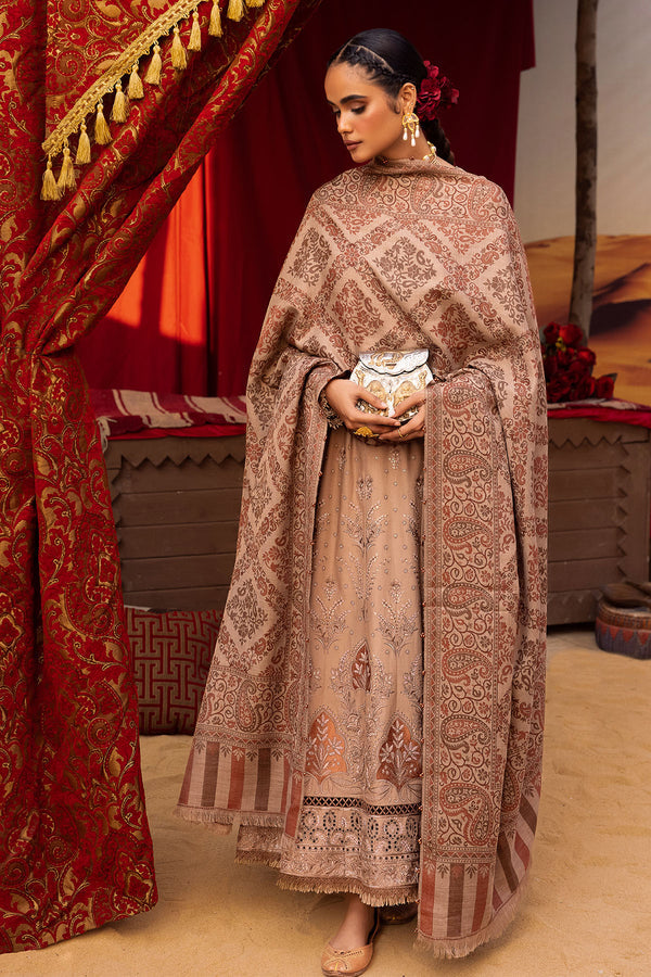 RA Nureh Exclusive Dhanak'24 NE#65