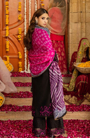 Al-Zohaib BANDHANI C/Kari Lawn`25 D#06