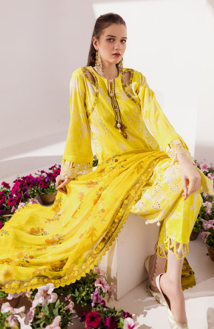AL-Zohaib S/Shine Bloom Lawn'24 D#06