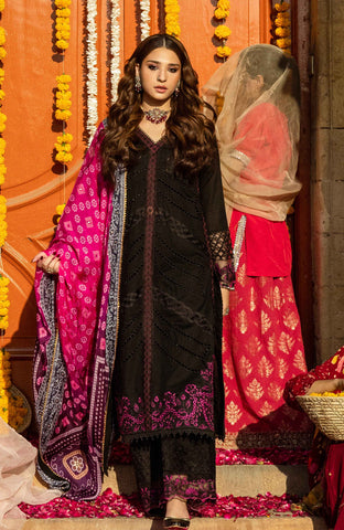 Al-Zohaib BANDHANI C/Kari Lawn`25 D#06