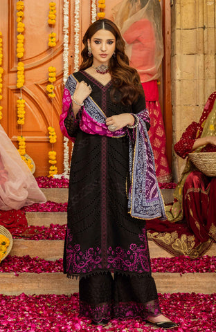 Al-Zohaib BANDHANI C/Kari Lawn`25 D#06