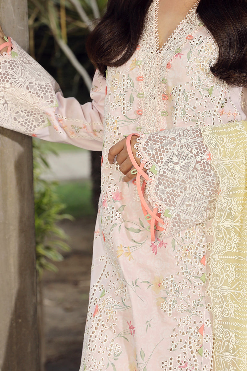 Qalamkar Festive Lawn'24 PS#03
