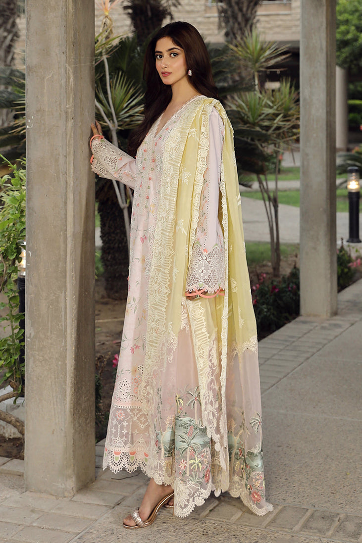 Qalamkar Festive Lawn'24 PS#03
