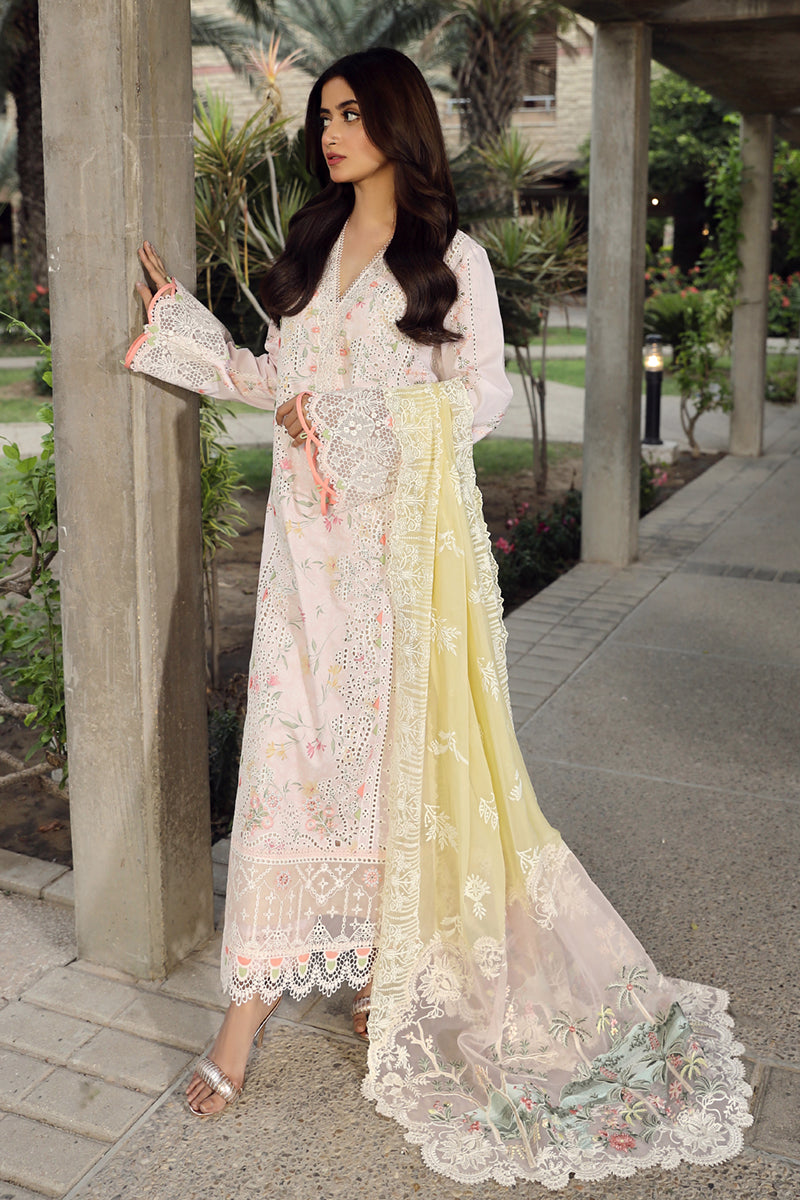 Qalamkar Festive Lawn'24 PS#03
