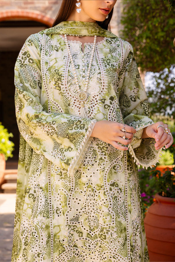 Shaista Muscari C/Kari Lawn`26 D#30