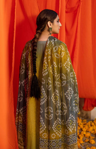 Al-Zohaib BANDHANI C/Kari Lawn`25 D#08