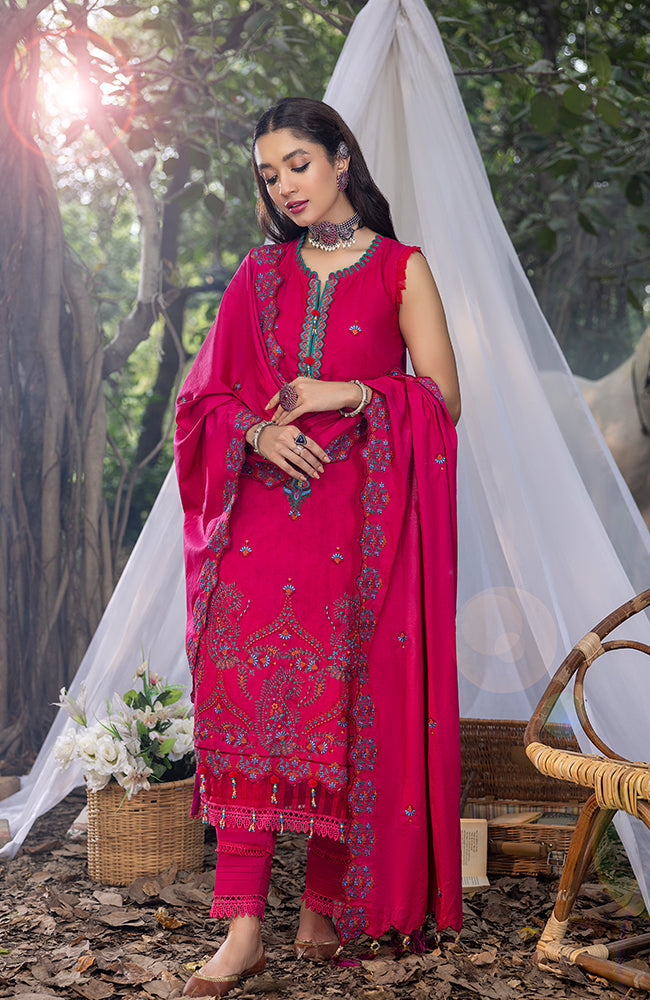 Al-Zohaib Sunshine Bloom`23 D#08