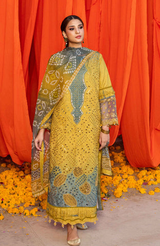 Al-Zohaib BANDHANI C/Kari Lawn`25 D#08