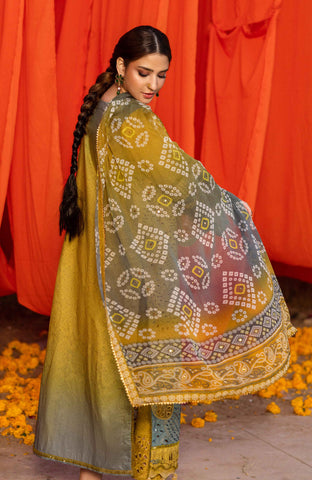 Al-Zohaib BANDHANI C/Kari Lawn`25 D#08