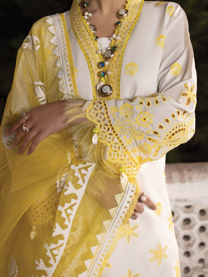 Faiza Faisal Maya Lawn'24 (CERAN)