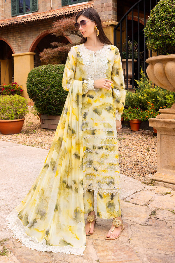 Shaista Muscari C/Kari Lawn`26 D#21