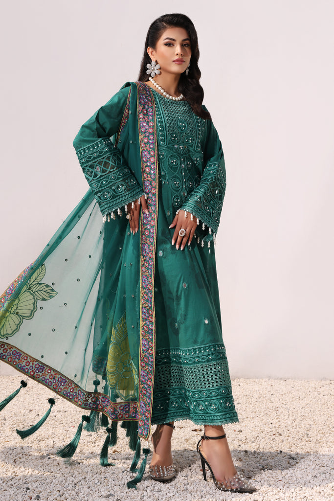 BR Charizma S/Festive'24 ED4#6