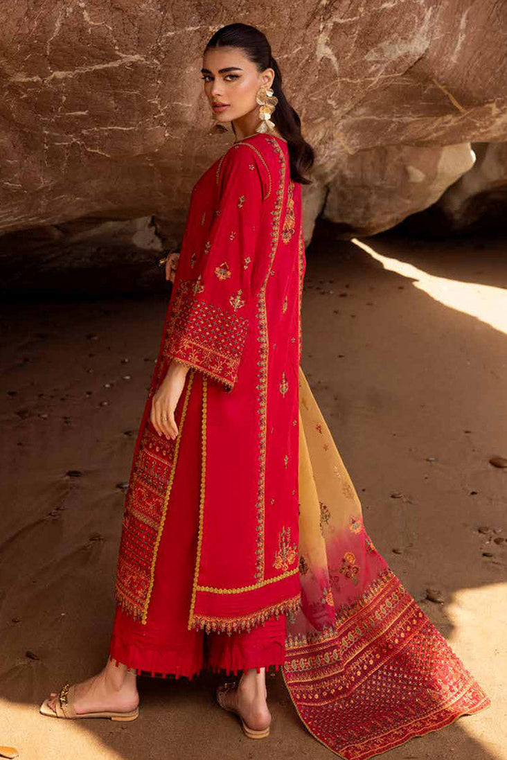 Muscari Emb Lawn`24 MLE#919