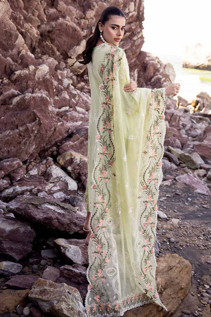 Muscari Emb Lawn`24 MLE#921