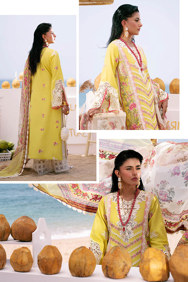 AJR Dastan Luxury Lawn`25 D#6 (SUNSET)