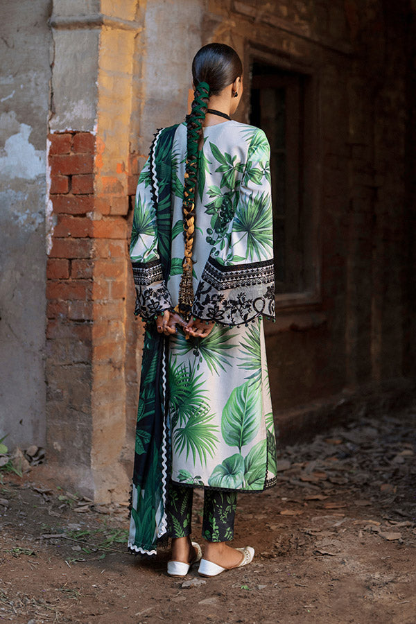 AJR SARD SHAM Winter`25 AJRW#02 GULBAHAR