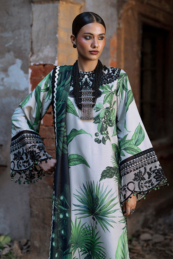 AJR SARD SHAM Winter`25 AJRW#02 GULBAHAR