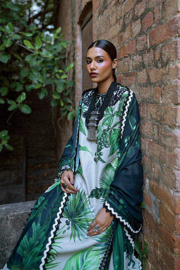 AJR SARD SHAM Winter`25 AJRW#02 GULBAHAR