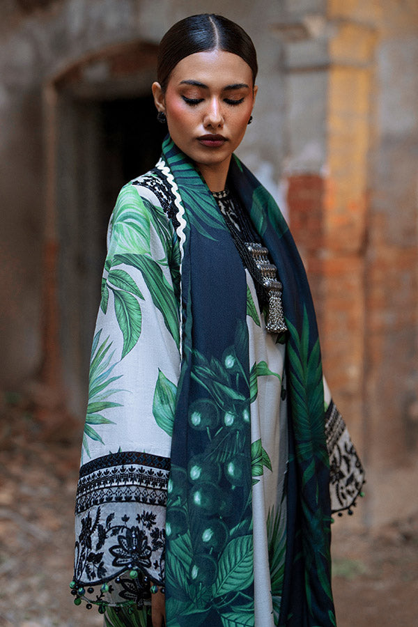 AJR SARD SHAM Winter`25 AJRW#02 GULBAHAR