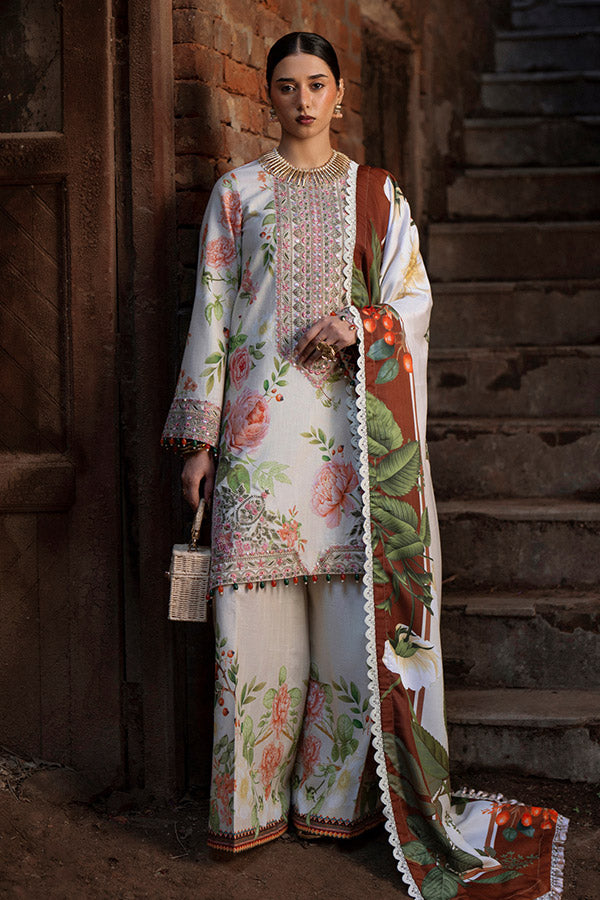 AJR SARD SHAM Winter`25 AJRW#03 ZAIB