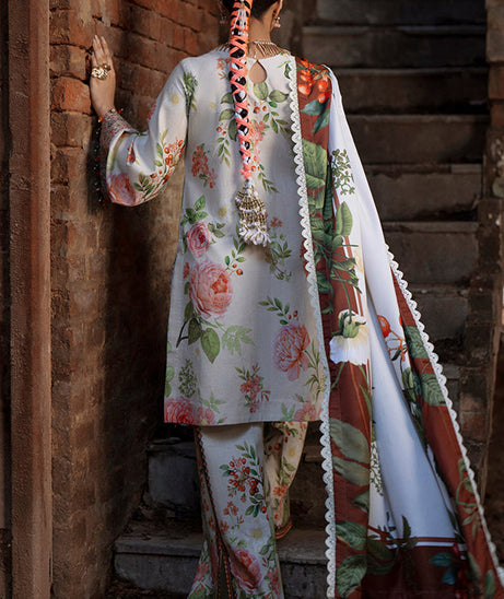 AJR SARD SHAM Winter`25 AJRW#03 ZAIB