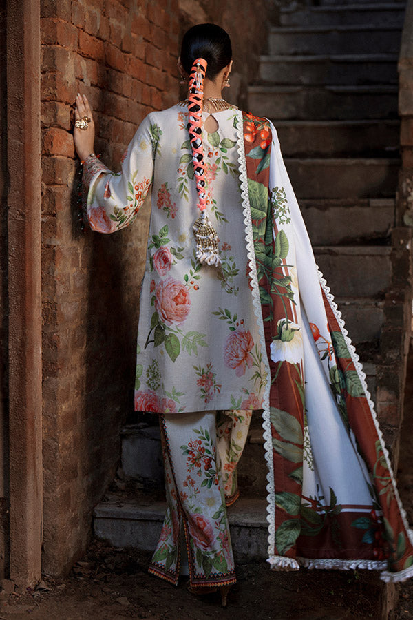 AJR SARD SHAM Winter`25 AJRW#03 ZAIB