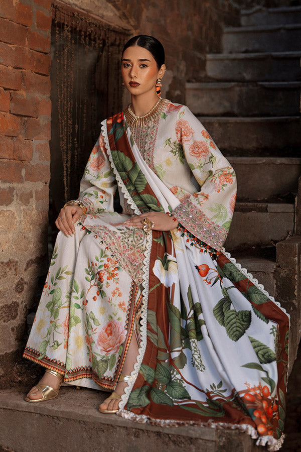 AJR SARD SHAM Winter`25 AJRW#03 ZAIB