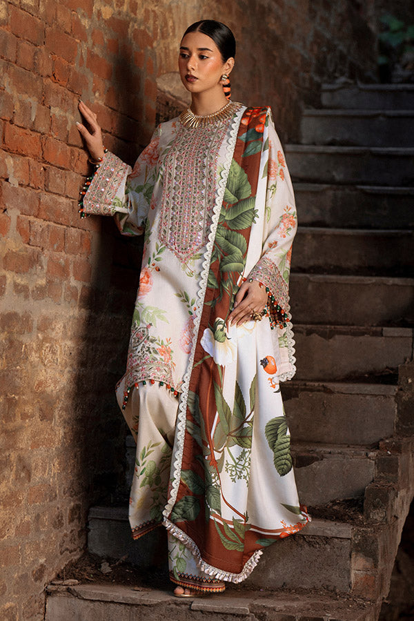 AJR SARD SHAM Winter`25 AJRW#03 ZAIB