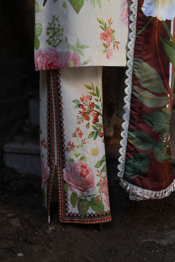 AJR SARD SHAM Winter`25 AJRW#03 ZAIB