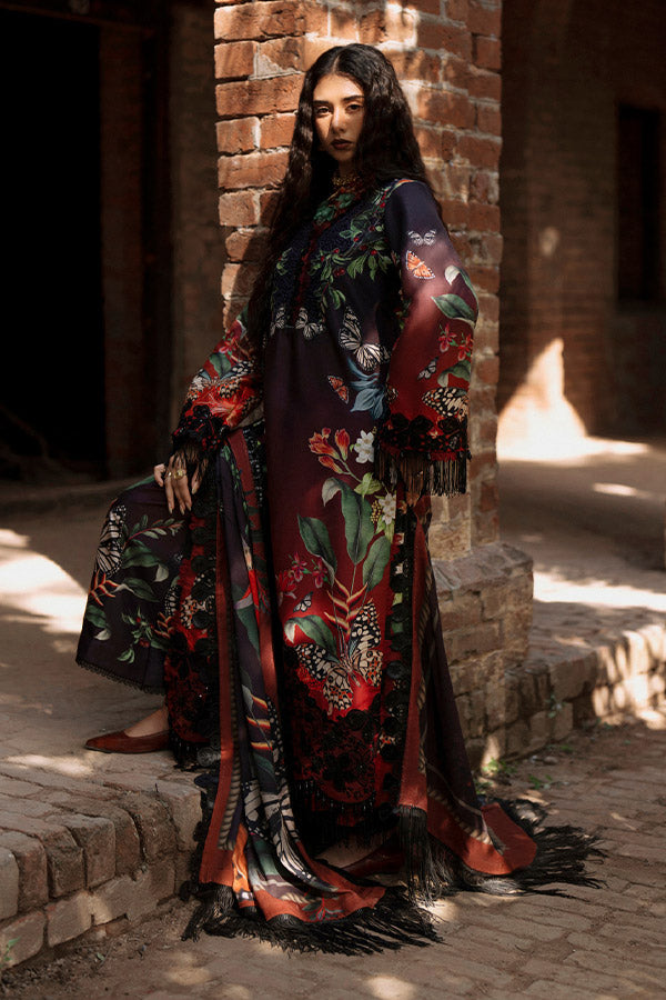 AJR SARD SHAM Winter`25 AJRW#06 AARAISH