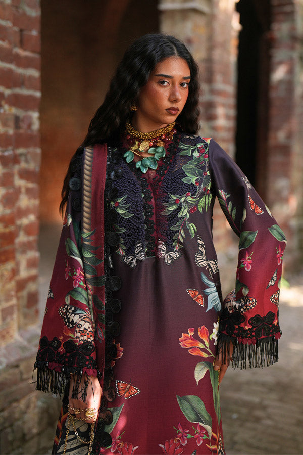 AJR SARD SHAM Winter`25 AJRW#06 AARAISH