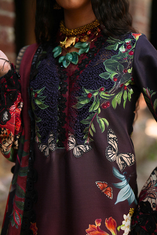 AJR SARD SHAM Winter`25 AJRW#06 AARAISH