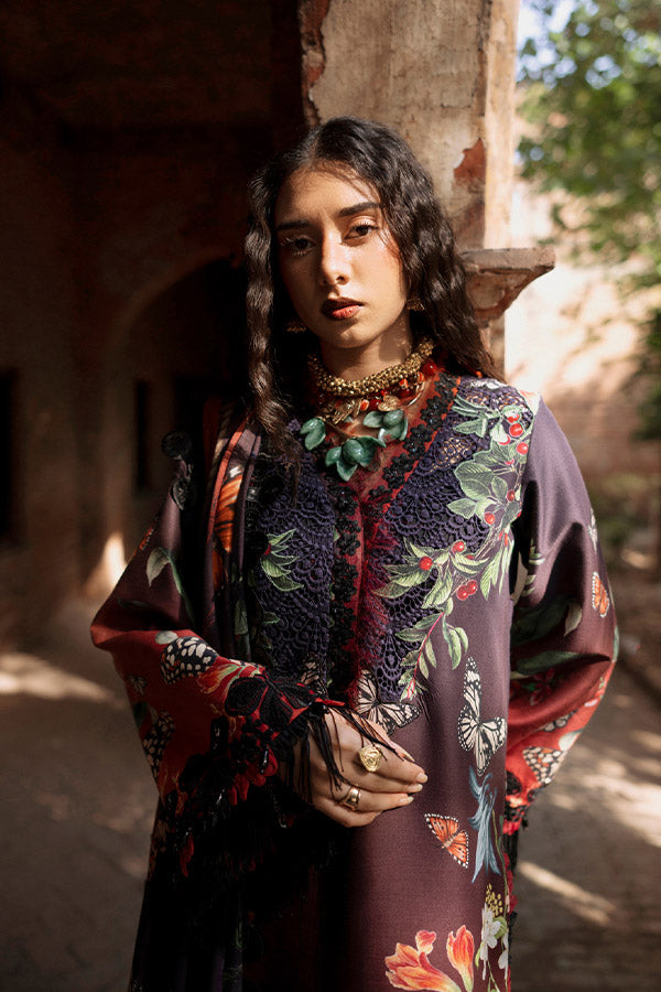 AJR SARD SHAM Winter`25 AJRW#06 AARAISH