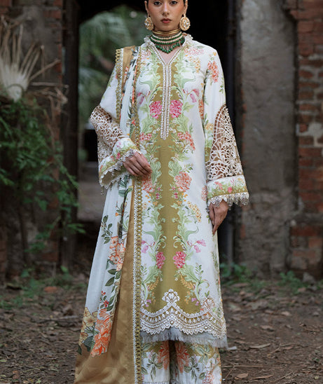 AJR SARD SHAM Winter`25 AJRW#08 GULRUKH