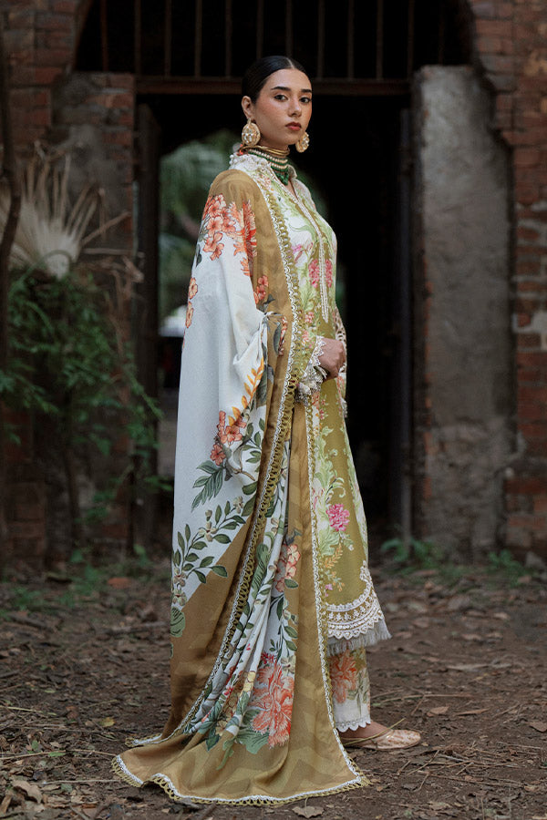 AJR SARD SHAM Winter`25 AJRW#08 GULRUKH