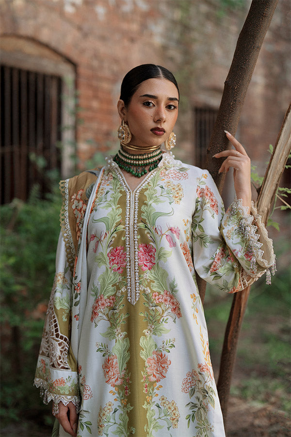 AJR SARD SHAM Winter`25 AJRW#08 GULRUKH