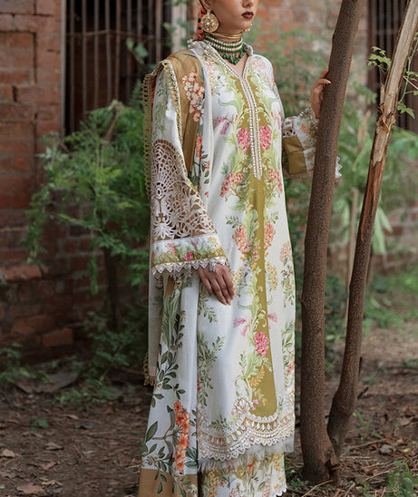 AJR SARD SHAM Winter`25 AJRW#08 GULRUKH