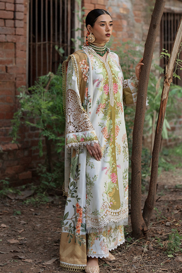 AJR SARD SHAM Winter`25 AJRW#08 GULRUKH