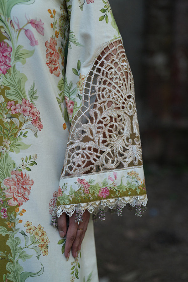 AJR SARD SHAM Winter`25 AJRW#08 GULRUKH