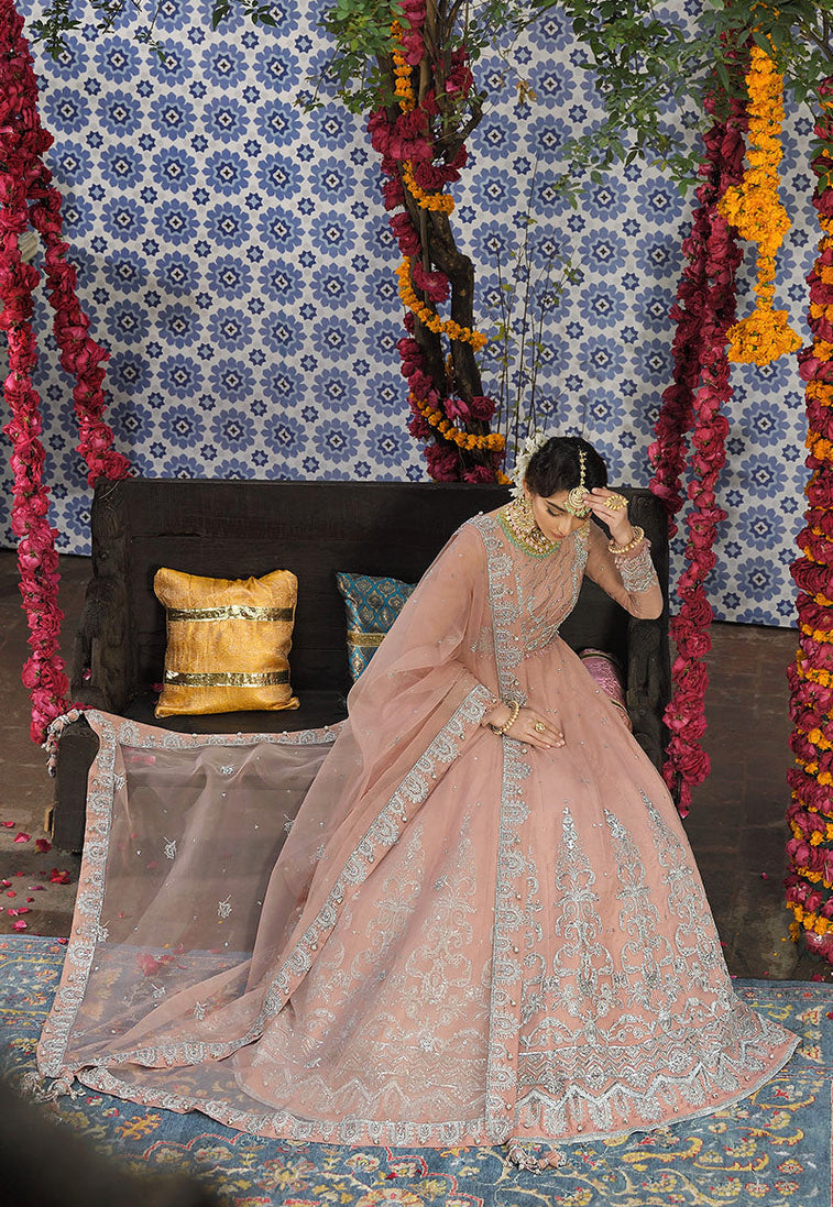 Asim Jofa Rasm Collection'22 AJR#13