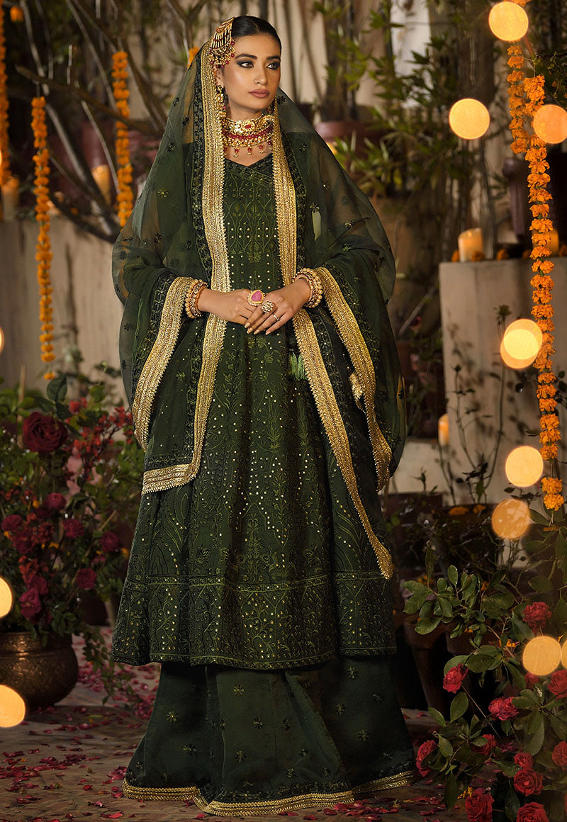 Asim Jofa Rasm Collection'22 AJR#19