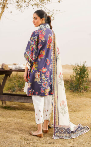 Asifa & Nabeel Meraki`24 Vol-1 ALORA