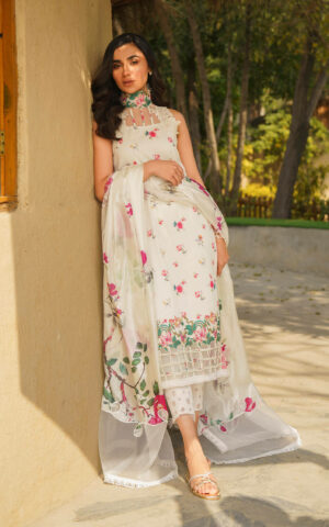 Asifa & Nabeel Meraki`24 Vol-1 ASTER