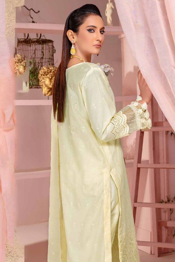 Aalaya Bareeze Emb Lawn`23 D#10